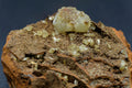 Adamite (Fluorescent)