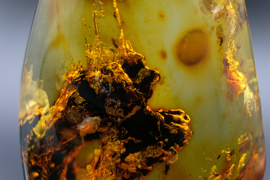 Amber with Fossil Insects