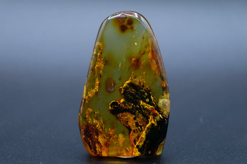 Amber with Fossil Insects