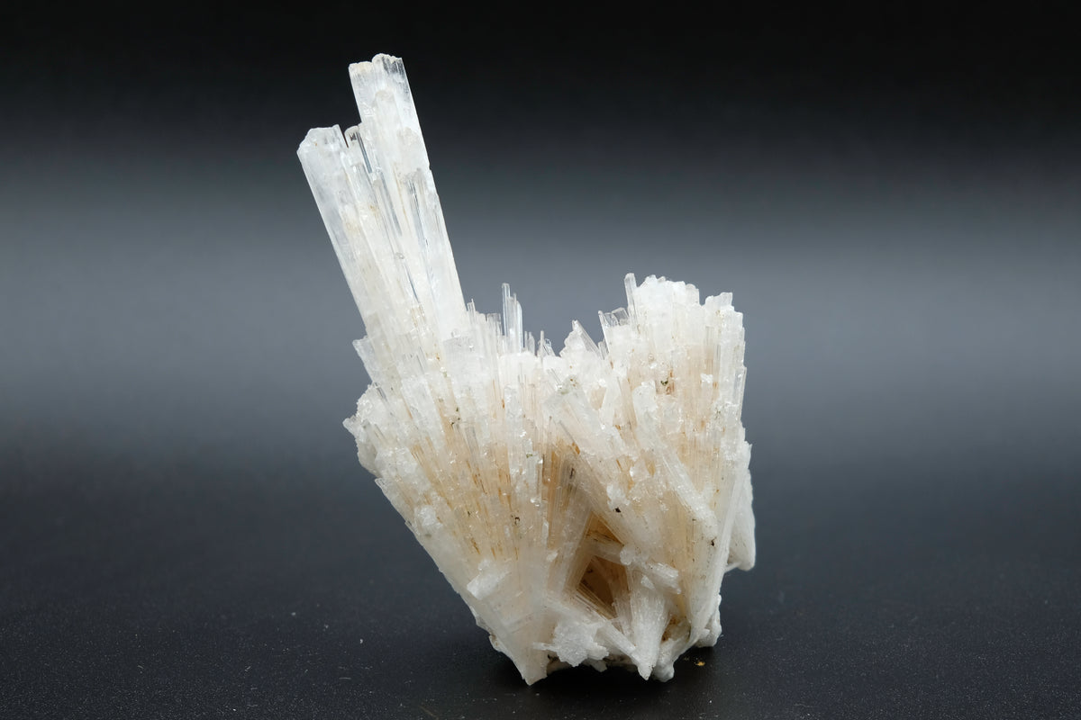 Scolecite