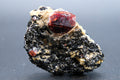 Zircon, Biotite