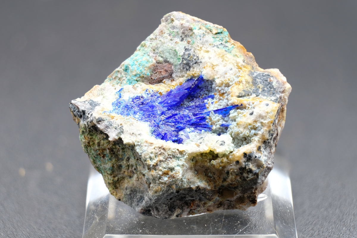 Linarite, Gearksutite, Quartz (Rare)